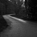 Trudie Hammes