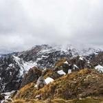 Sandy Price